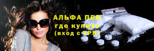 СК Корсаков